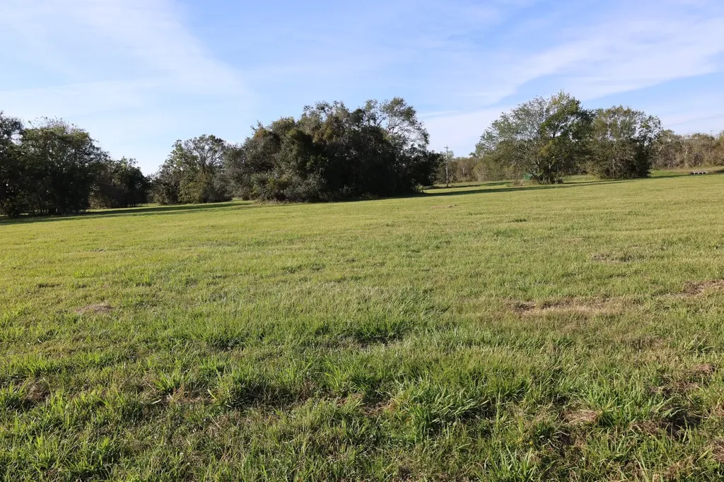 331 Green Pasture Court Angleton TX 77515