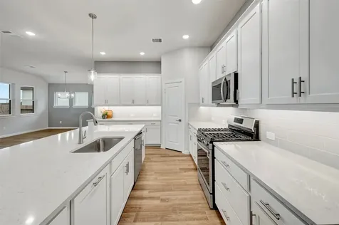 16238 Summer Aster Trail Hockley TX 77447