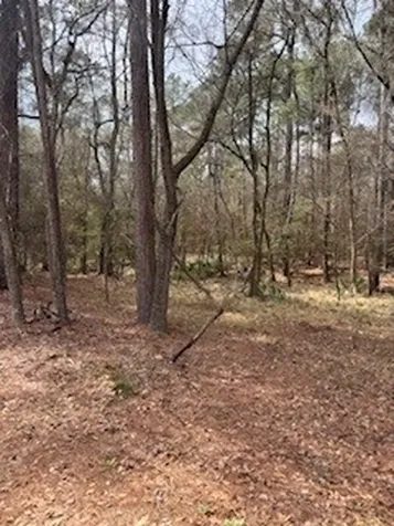 148 Brook Hollow Drive Huntsville TX 77340