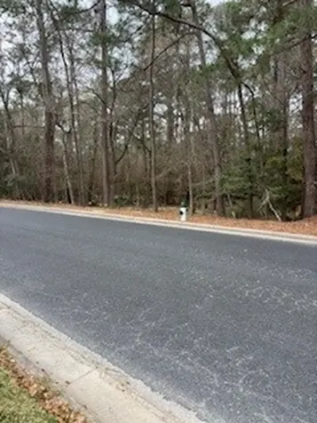 148 Brook Hollow Drive Huntsville TX 77340