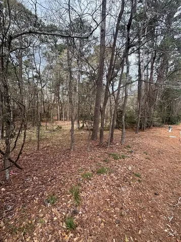 148 Brook Hollow Drive Huntsville TX 77340