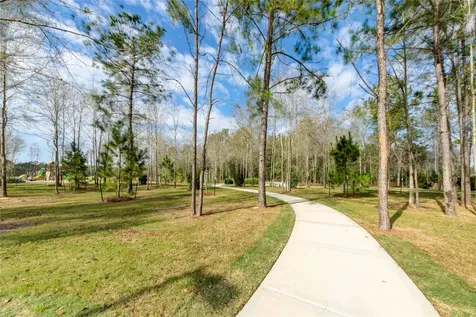 28821 Chalk Ridge Lane New Caney TX 77357