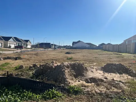 32303 Clouser Minnow Court Fulshear TX 77441