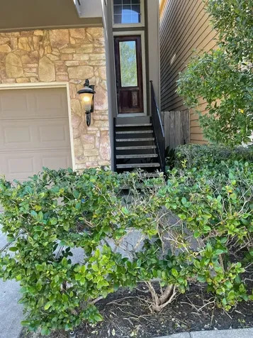2605 Almeda Forest Court Houston TX 77045