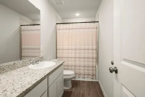 25737 Sweetpea Court Montgomery TX 77316