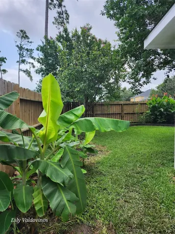 638 Aldenwick Lane Houston TX 77073