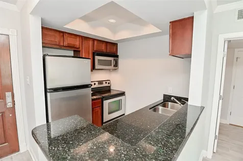 4515 Briar Hollow Place 112 Houston TX 77027