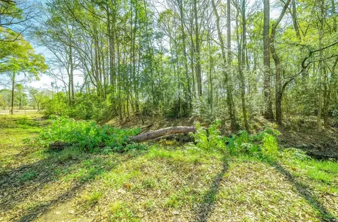 26 Holly Springs Drive Conroe TX 77302