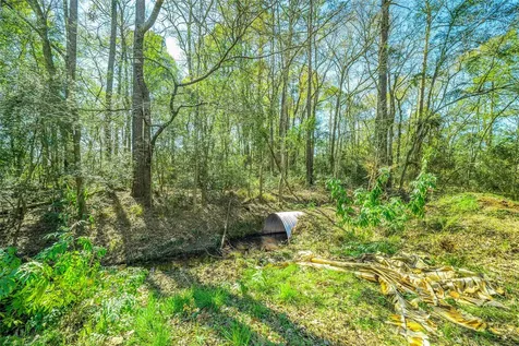 26 Holly Springs Drive Conroe TX 77302