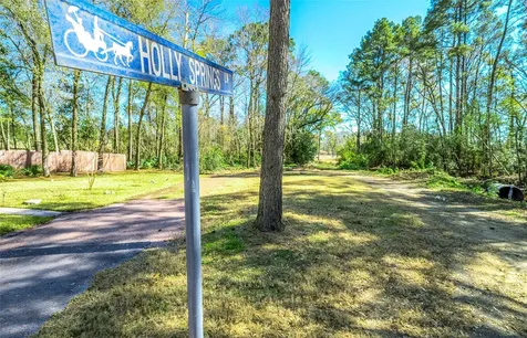 26 Holly Springs Drive Conroe TX 77302