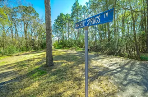 26 Holly Springs Drive Conroe TX 77302