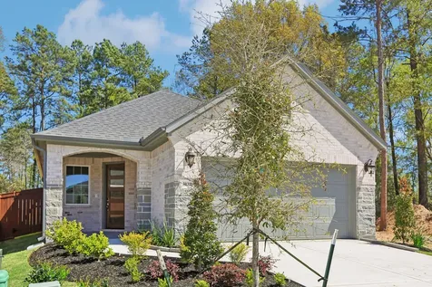 30310 Ruby Forest Court Magnolia TX 77354
