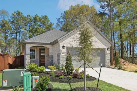 30310 Ruby Forest Court Magnolia TX 77354