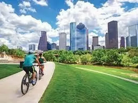 3409 Ovids Orchard Drive Houston TX 77025