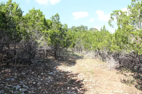 311 Big Bend Drive Canyon Lake TX 78133