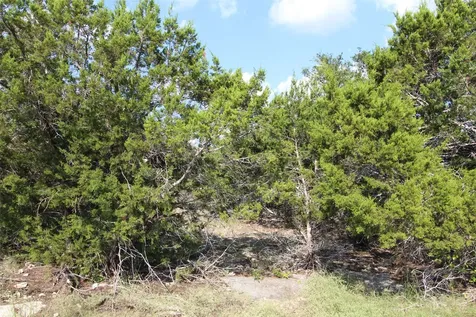 311 Big Bend Drive Canyon Lake TX 78133