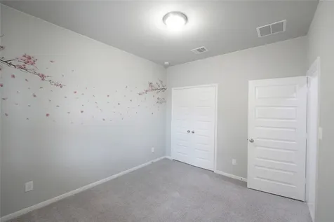 24238 Golden Fallow Drive Katy TX 77493