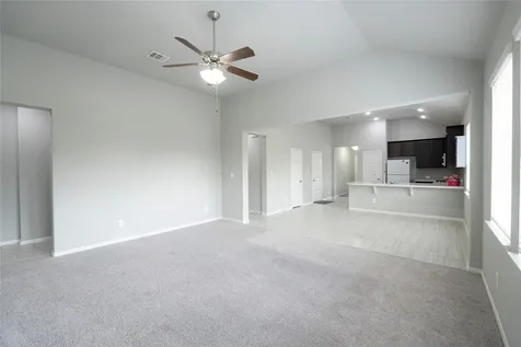 24238 Golden Fallow Drive Katy TX 77493