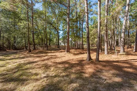 29300 Sorrel Lane Waller TX 77484