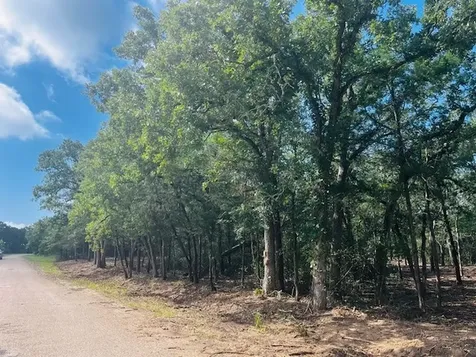 Tbd Big Creek Forest Drive Somerville TX 77879