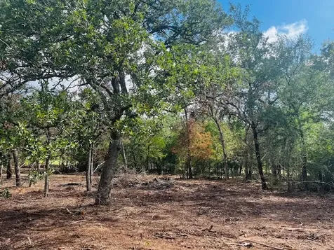 Tbd Big Creek Forest Drive Somerville TX 77879