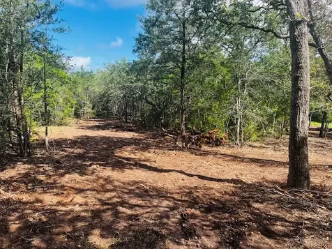 Tbd Big Creek Forest Drive Somerville TX 77879