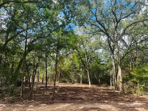 Tbd Big Creek Forest Drive Somerville TX 77879
