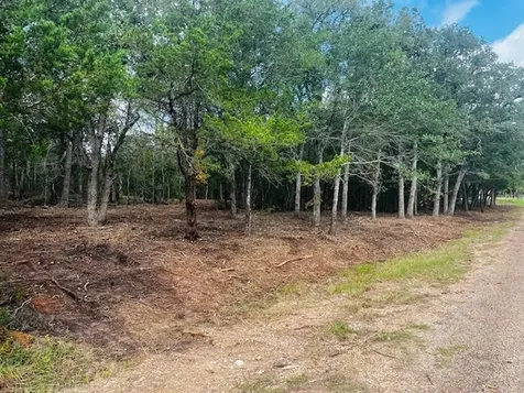 Tbd Big Creek Forest Drive Somerville TX 77879