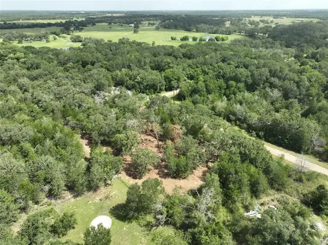 Tbd Big Creek Forest Drive Somerville TX 77879