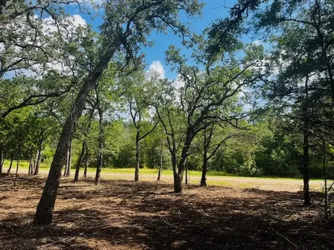 Tbd Big Creek Forest Drive Somerville TX 77879