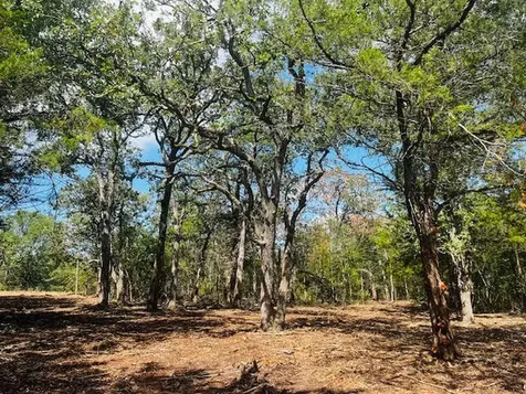 Tbd Big Creek Forest Drive Somerville TX 77879