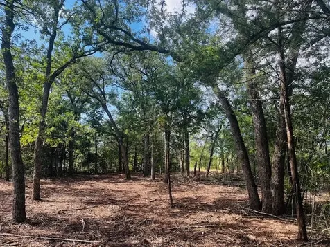 Tbd Big Creek Forest Drive Somerville TX 77879