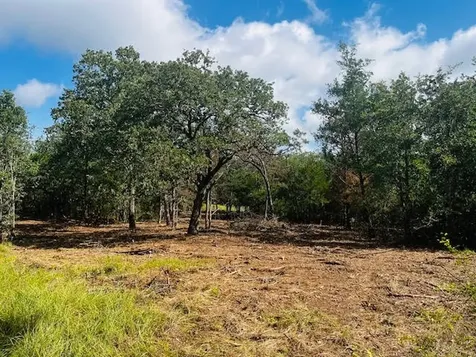 Tbd Big Creek Forest Drive Somerville TX 77879