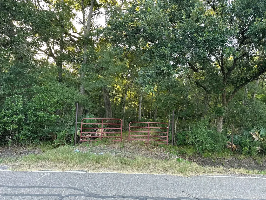 0 County Road 728c Sweeny TX 77480