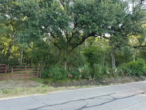 0 County Road 728c Sweeny TX 77480
