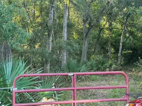 0 County Road 728c Sweeny TX 77480