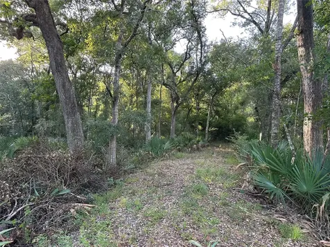 0 County Road 728c Sweeny TX 77480