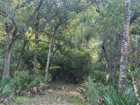 0 County Road 728c Sweeny TX 77480