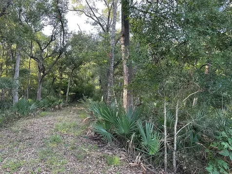 0 County Road 728c Sweeny TX 77480