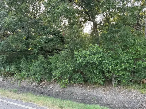 0 County Road 728c Sweeny TX 77480
