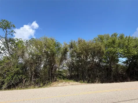 10318 County Road 67 Manvel TX 77578