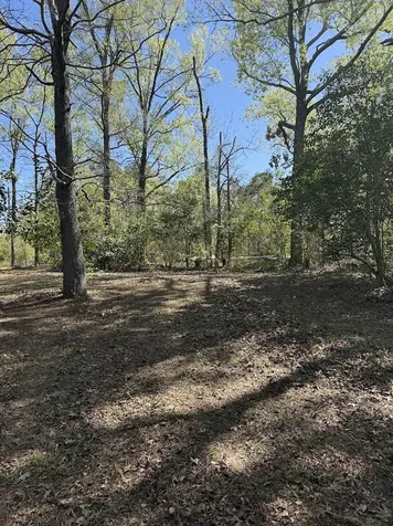 4001 Carters Ferry Road E Milam TX 75959