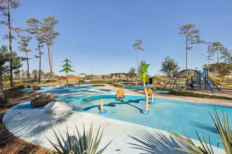 201 Crystal Bay Lane Willis TX 77378