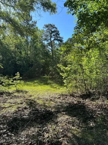 0 Hardy Bottom Road Huntsville TX 77340