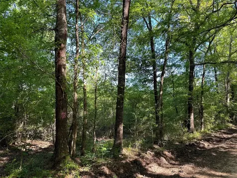 0 Hardy Bottom Road Huntsville TX 77340