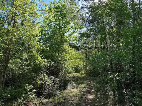 0 Hardy Bottom Road Huntsville TX 77340