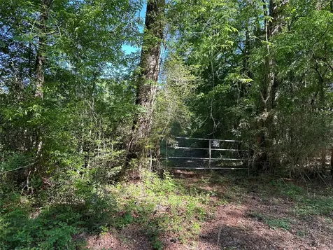 0 Hardy Bottom Road Huntsville TX 77340