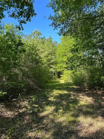 0 Hardy Bottom Road Huntsville TX 77340