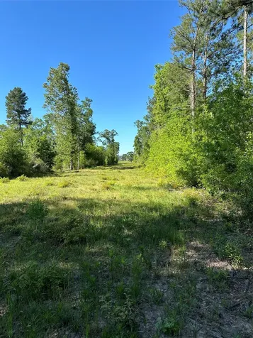 0 Hardy Bottom Road Huntsville TX 77340