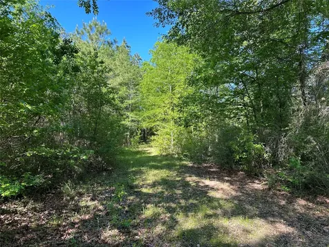 0 Hardy Bottom Road Huntsville TX 77340
